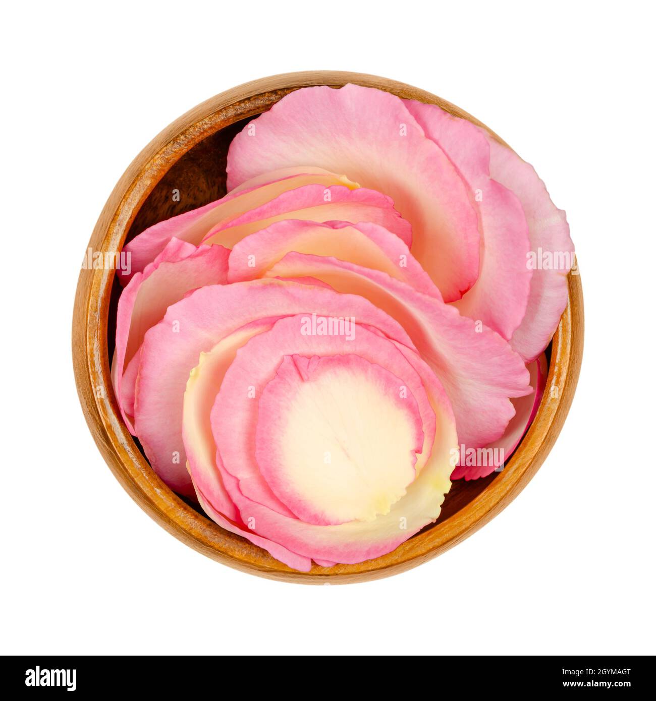 Pétalos de rosa en un tazón de madera. Pétalos recién escogidos de una rosa de color rosa claro del jardín, llamados China, chino o rosa de Bengala. Rosa chinensis. Foto de stock