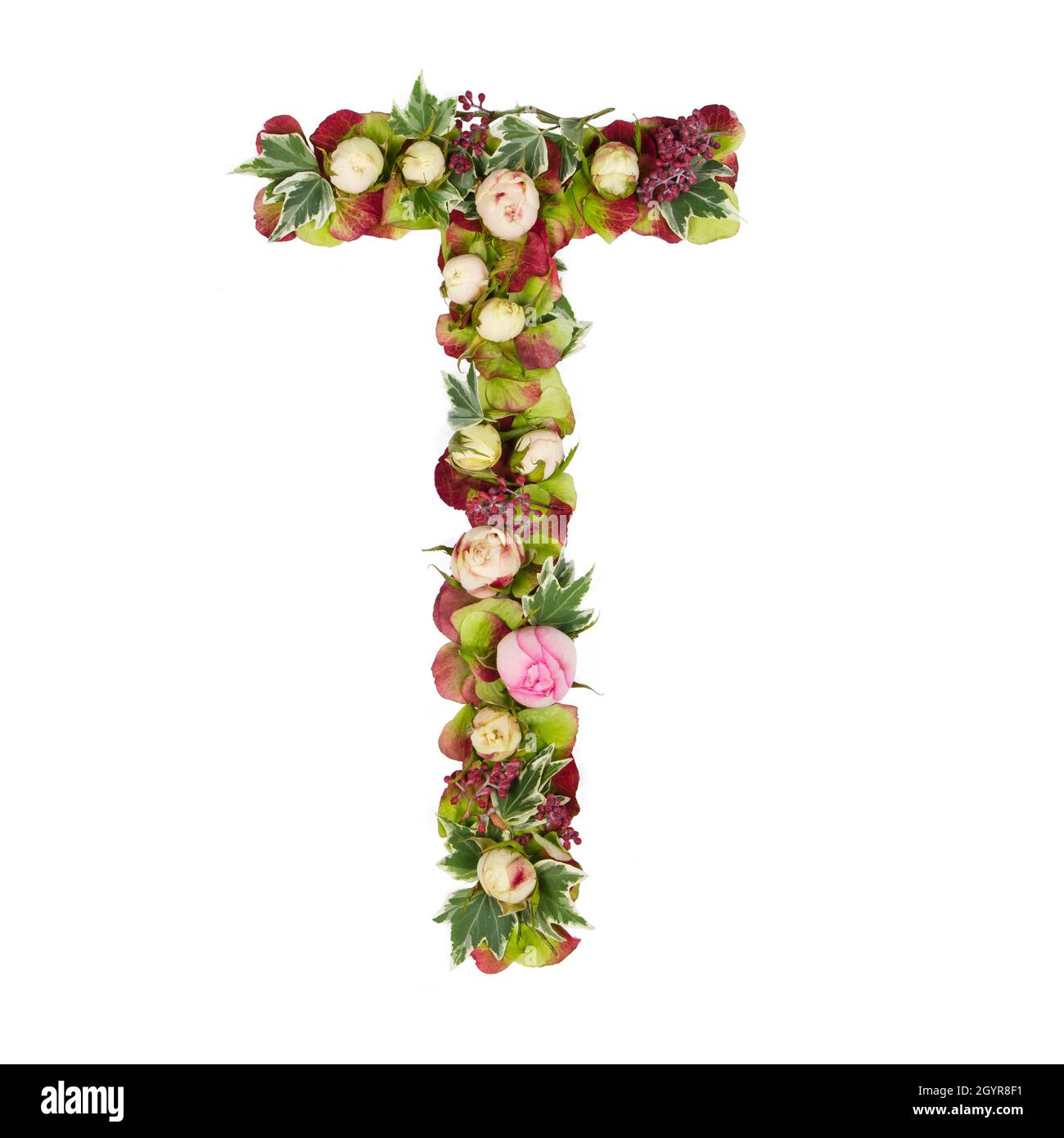 Letras del alfabeto decoradas con flores, monograma floral ilustración  vectorial en estilo boho simple, letras decorativas planas de color pastel  Imagen Vector de stock - Alamy