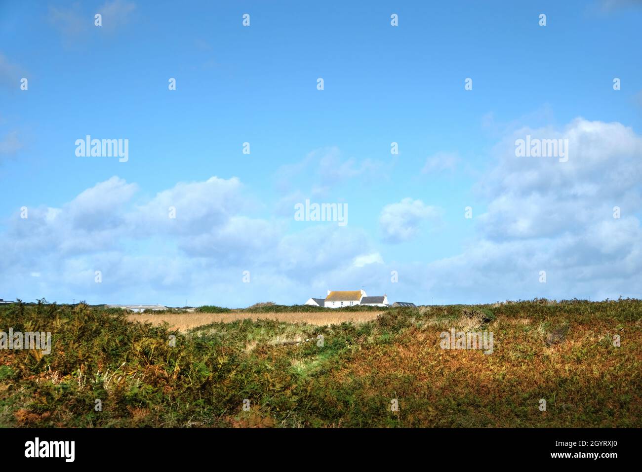 Carn-Nwchyn cerca de San David, visto en un día de verano con cielo azul. Visto desde el Sendero Costero de Pembrokeshire por encima de la Bahía de Caerfai, Gales, Reino Unido Foto de stock