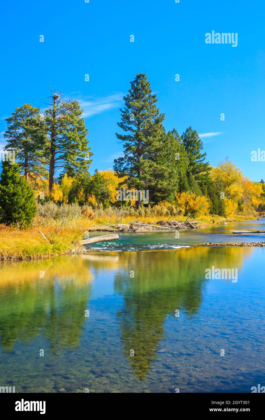 nido de águila y colores de otoño a lo largo del río blackfoot cerca de ovando, montana Foto de stock