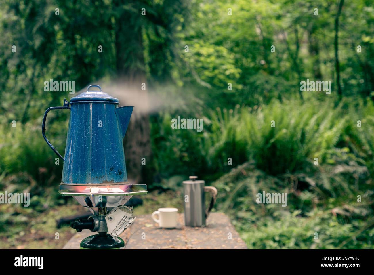 ≫ Cafetera Saeco No Sale Agua | Comprar Online en 2022