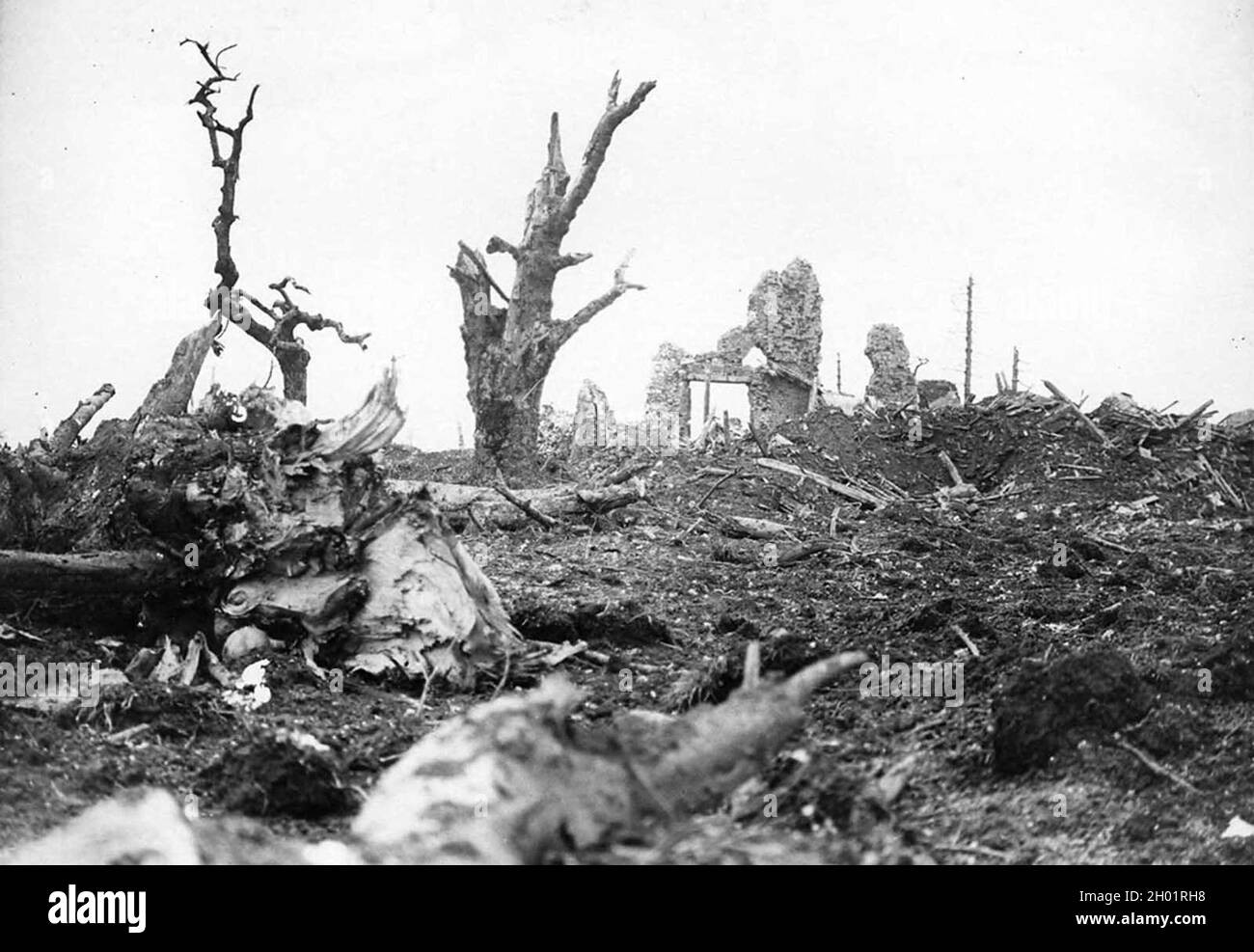 Ruinas de Gommecourt Chateau, Francia. El pueblo estaba en la línea del frente durante años y fue bombardeado en el olvido al final Foto de stock