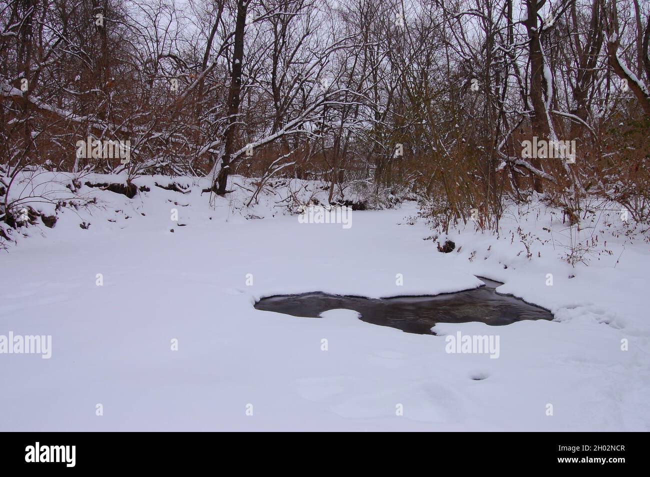 Paisaje invernal con nieve, pequeño lago congelado y árboles sin hojas, con espacio de copia, concepto de llegada invernal Foto de stock