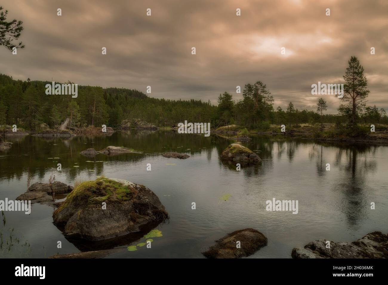lago, roca y un paisaje forestal en Suecia Foto de stock