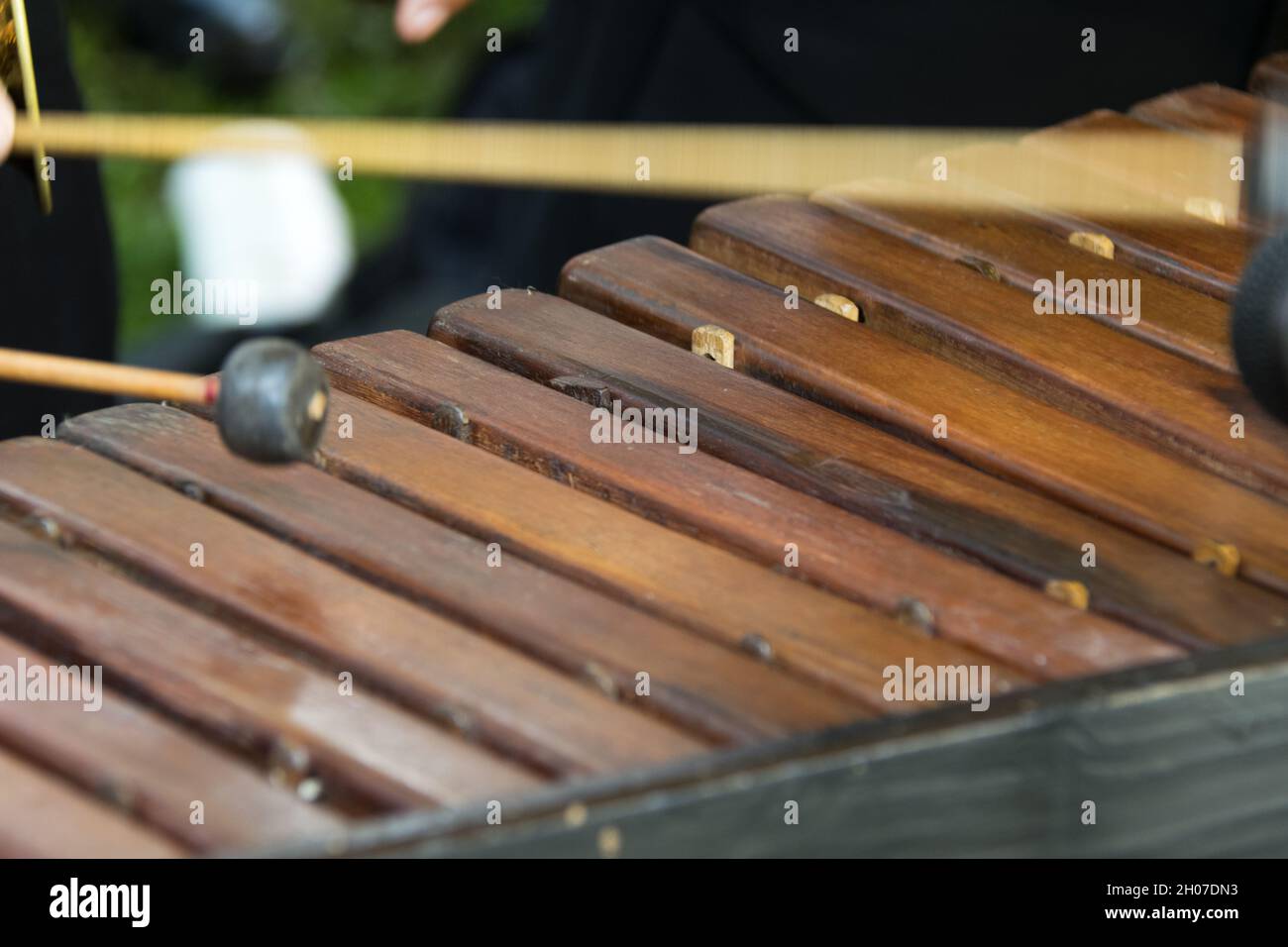Instrumento nacional de Guatemala hecho con madera de Hormigo el