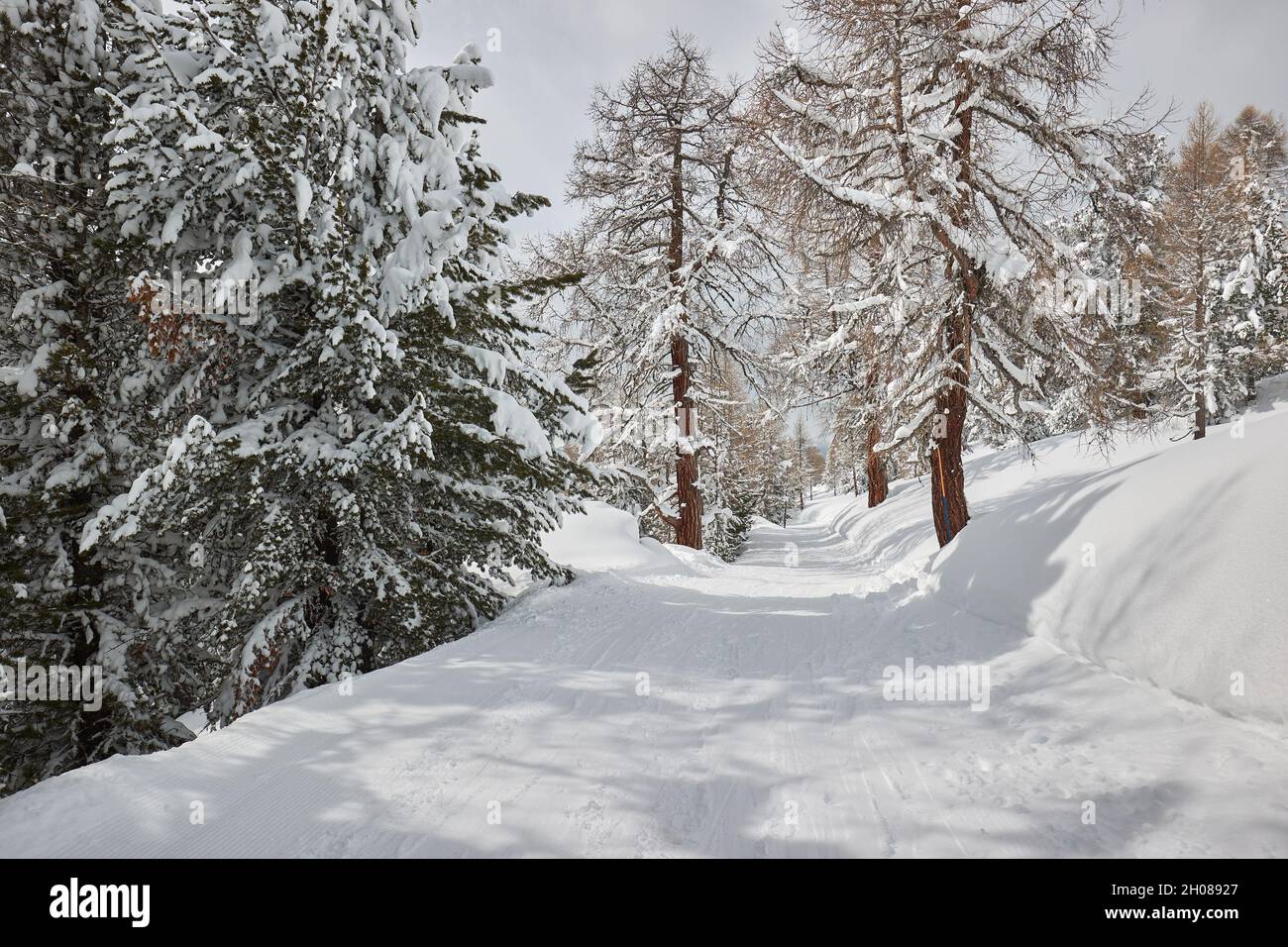 Paisaje de las montañas nevadas de invierno Foto de stock