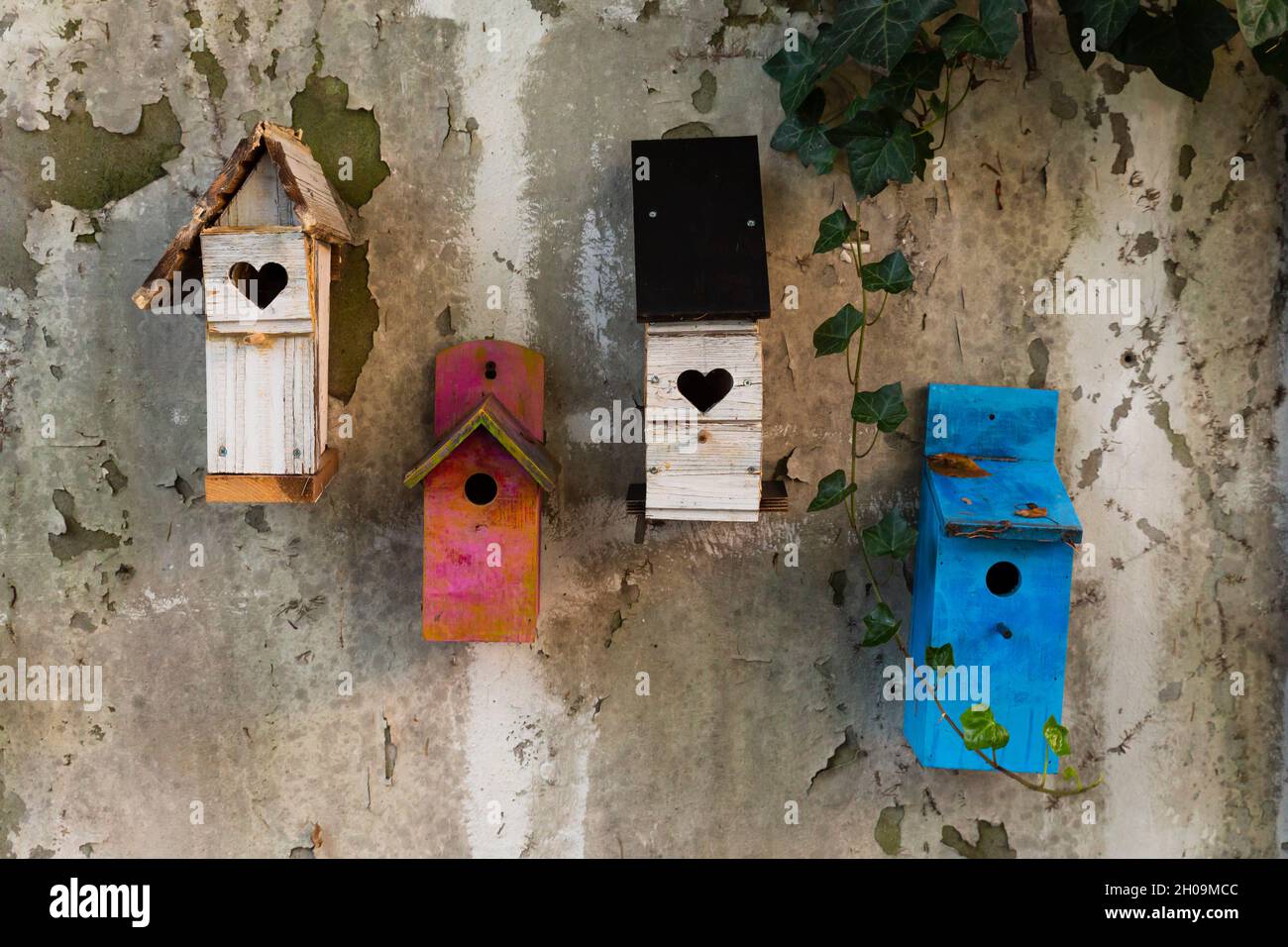 Grupo de cuatro coloridas casas de pájaros de madera colgando en una pared gris Foto de stock