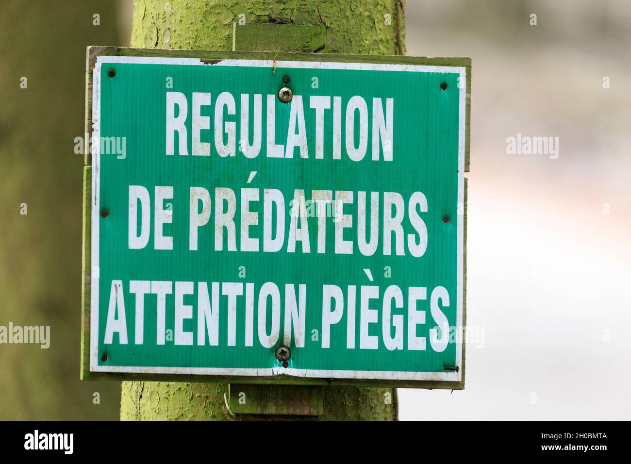 Señal para advertir de la posibilidad de disparos en propiedad privada, parque privado, Haute-Saone, Francia Foto de stock