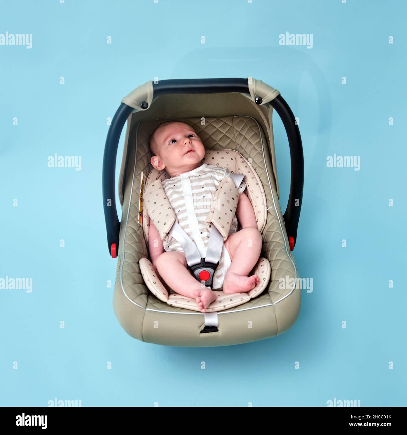 Bebé en el asiento de seguridad para niños sobre fondo azul del estudio. Portador para transportar bebés recién nacidos en una silla de stock - Alamy