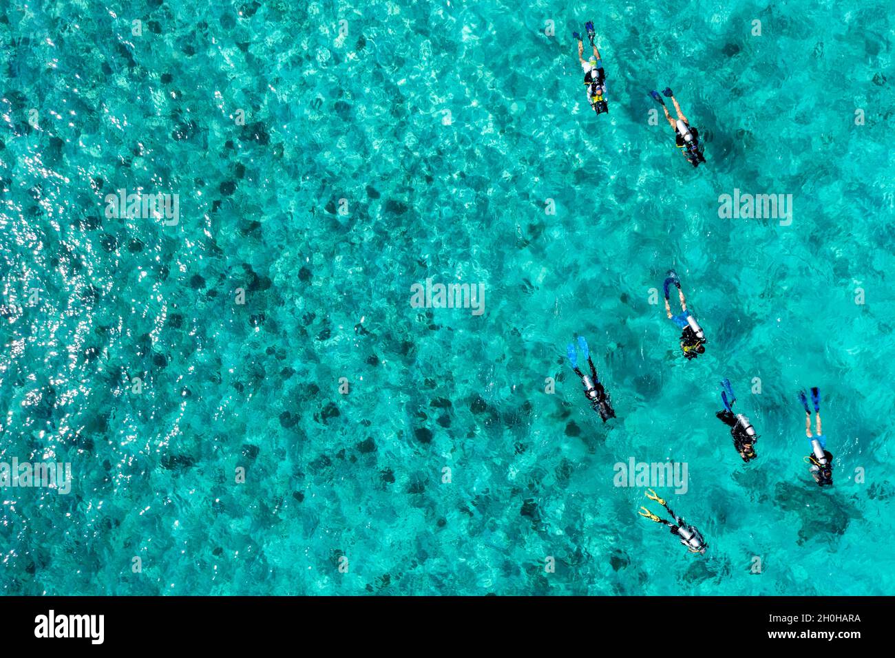 Vista aérea, Océano Índico, Maldivas, Atolón Lhaviyani, Kuredu, Con buzos en el agua, Maldivas, Océano Índico Foto de stock