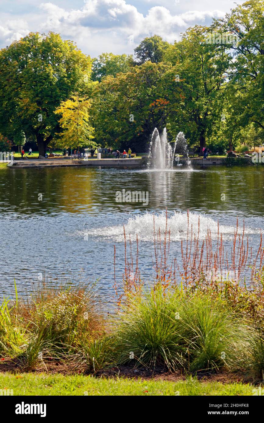 Estanque, estanque con fuente rodeada de árboles altos, parque municipal, Núremberg, Franconia media, Franconia, Baviera, Alemania Foto de stock