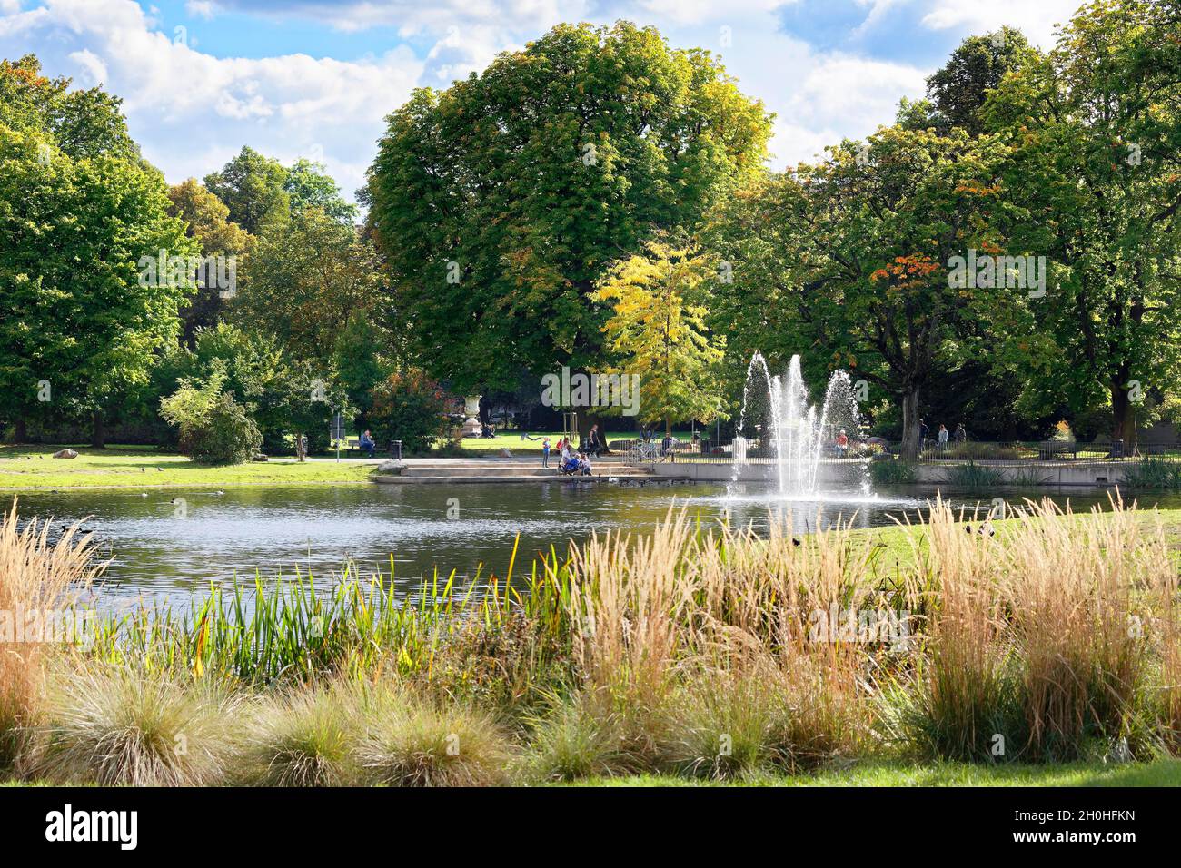 Estanque, estanque con fuente rodeada de árboles altos, parque municipal, Núremberg, Franconia media, Franconia, Baviera, Alemania Foto de stock