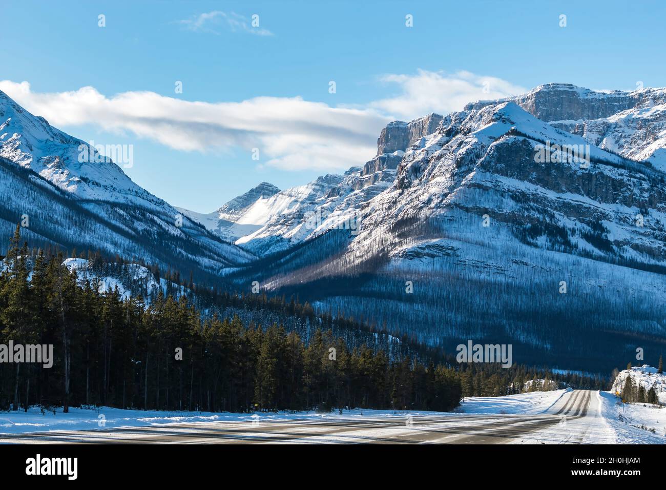 Montañas nevadas en la carretera trasera con línea de árboles en Nordegg Alberta Canadá Foto de stock