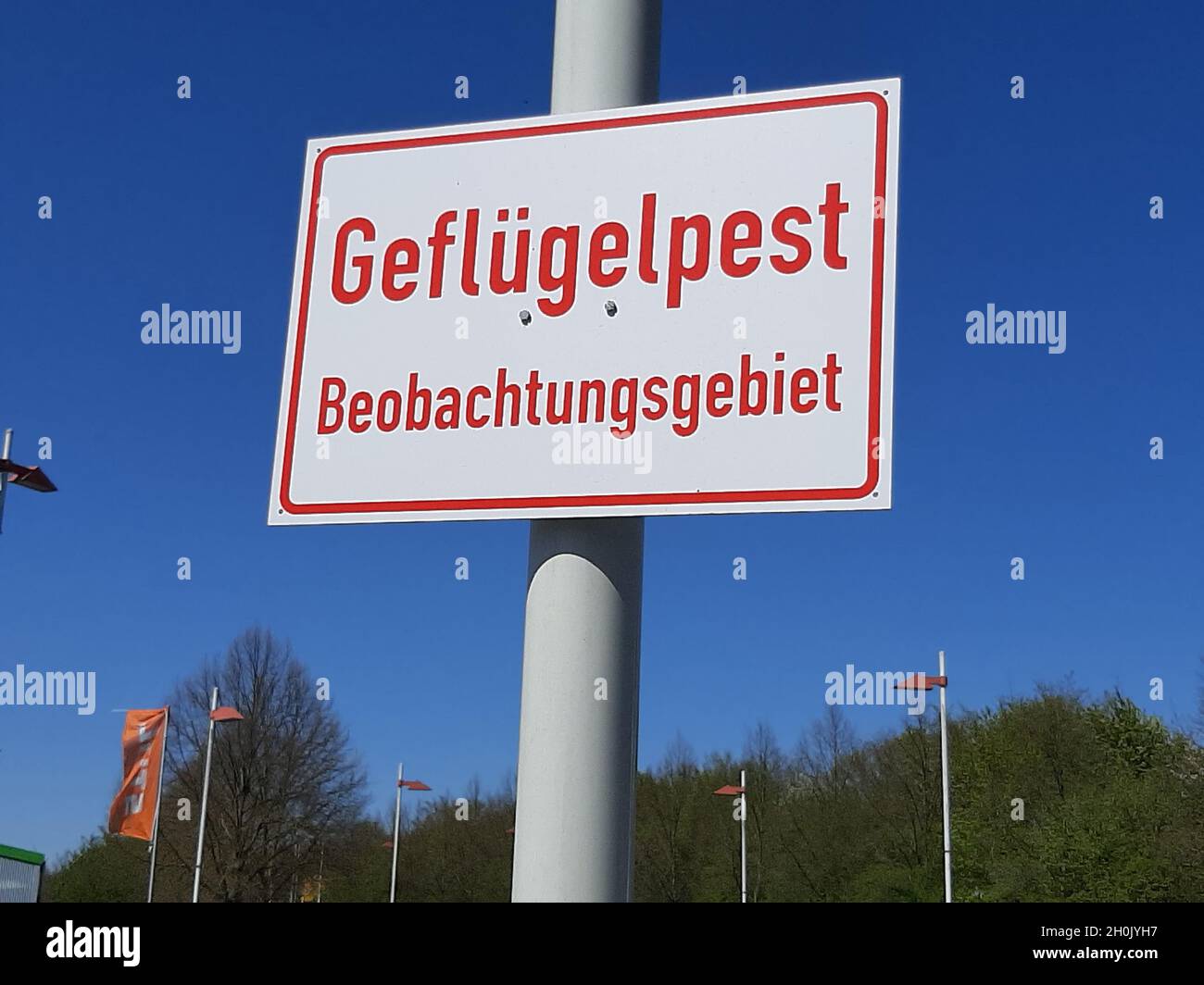 Señal Gefluegelpest Beobachtungsgebiet, gripe aviar, zona de observación, Alemania Foto de stock