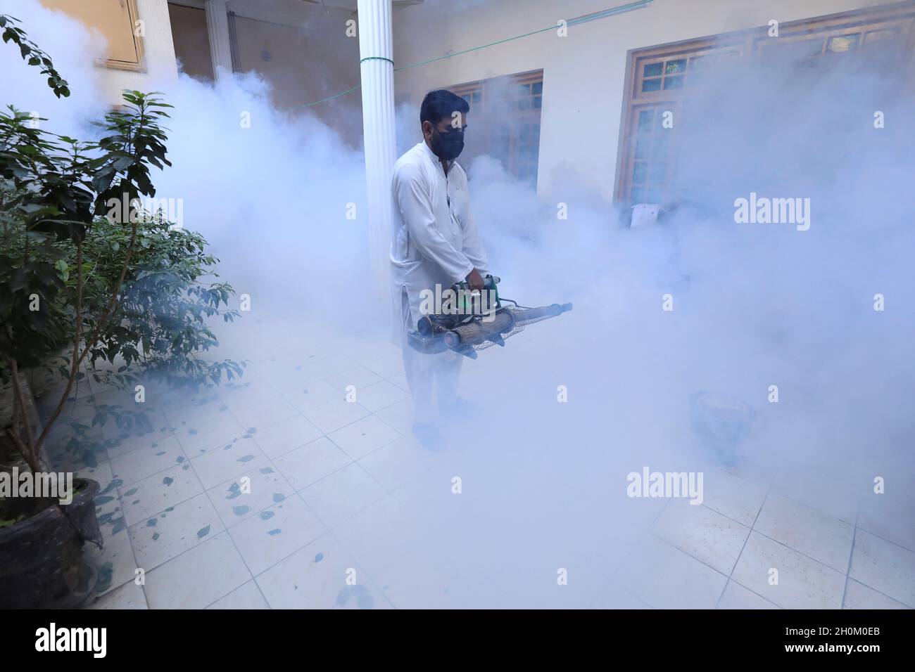 Un trabajador rocía vapor de fumigación para detener la del virus del dengue en Peshawar, Pakistán, 13 de octubre REUTERS/Fayaz Aziz Fotografía de stock - Alamy