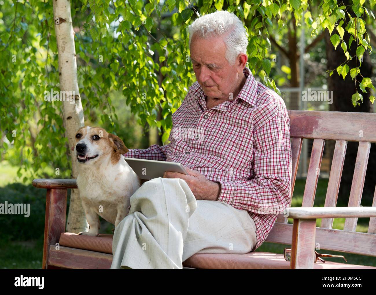Anciano con perro sentado en un banco en el jardín y mirando a la tableta  Fotografía de stock - Alamy