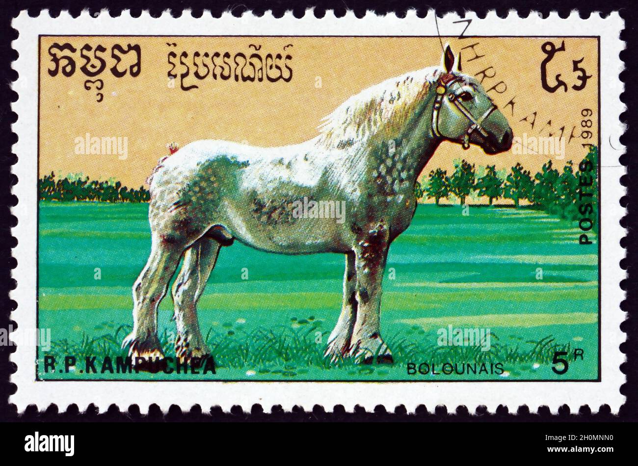 CAMBOYA - CIRCA 1989: Un sello impreso en Camboya muestra boulonnais, es una raza francesa de caballo de tiro, circa 1989 Foto de stock