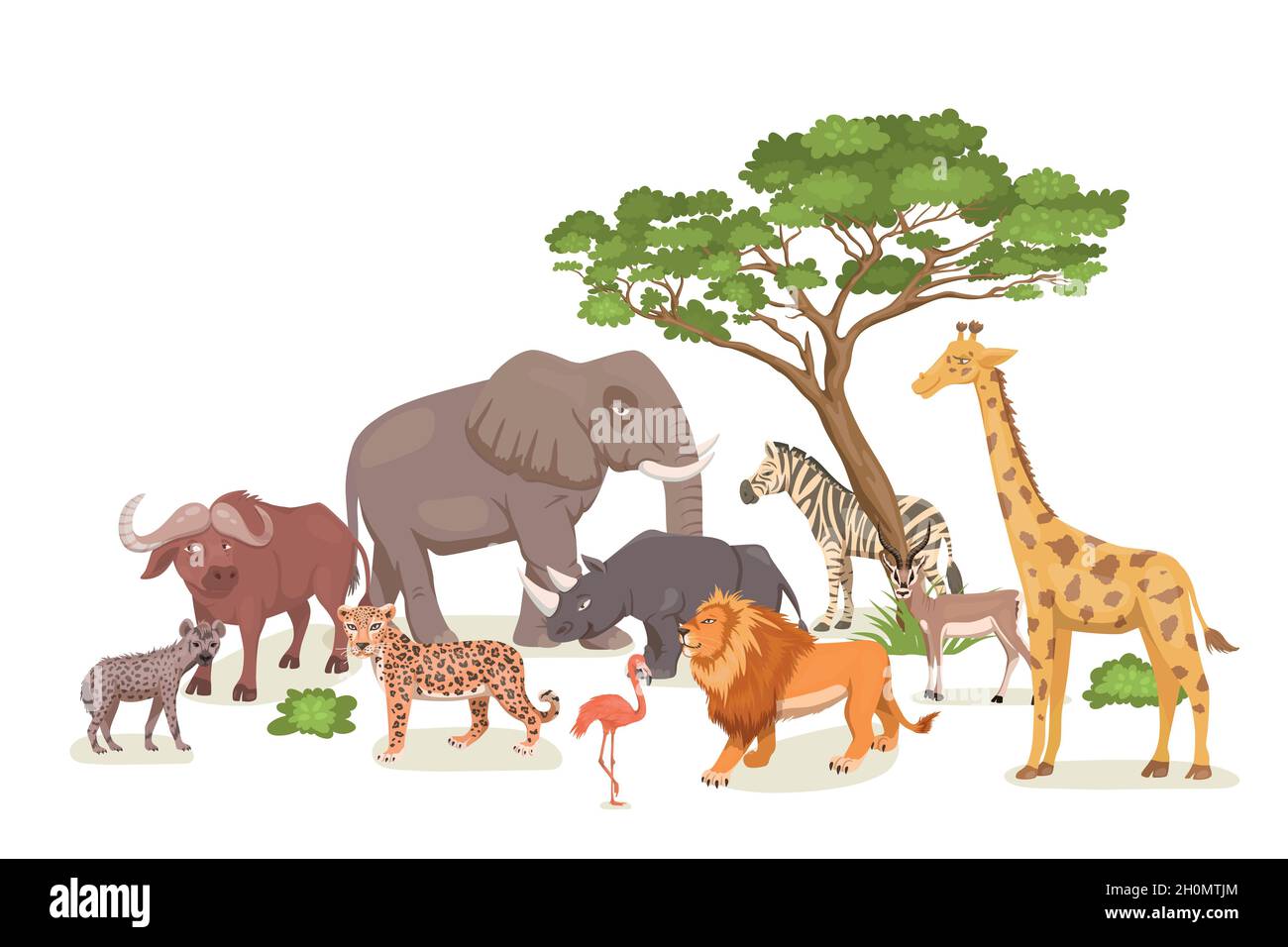 Juego de animales salvajes de la sabana africana. León, Rhino, Zebra,  Búfalo, Giraffe, Flamingo, Leopard, Gazelle, Elephant, Hyena. Ilustración  de vector plano. Animales Imagen Vector de stock - Alamy