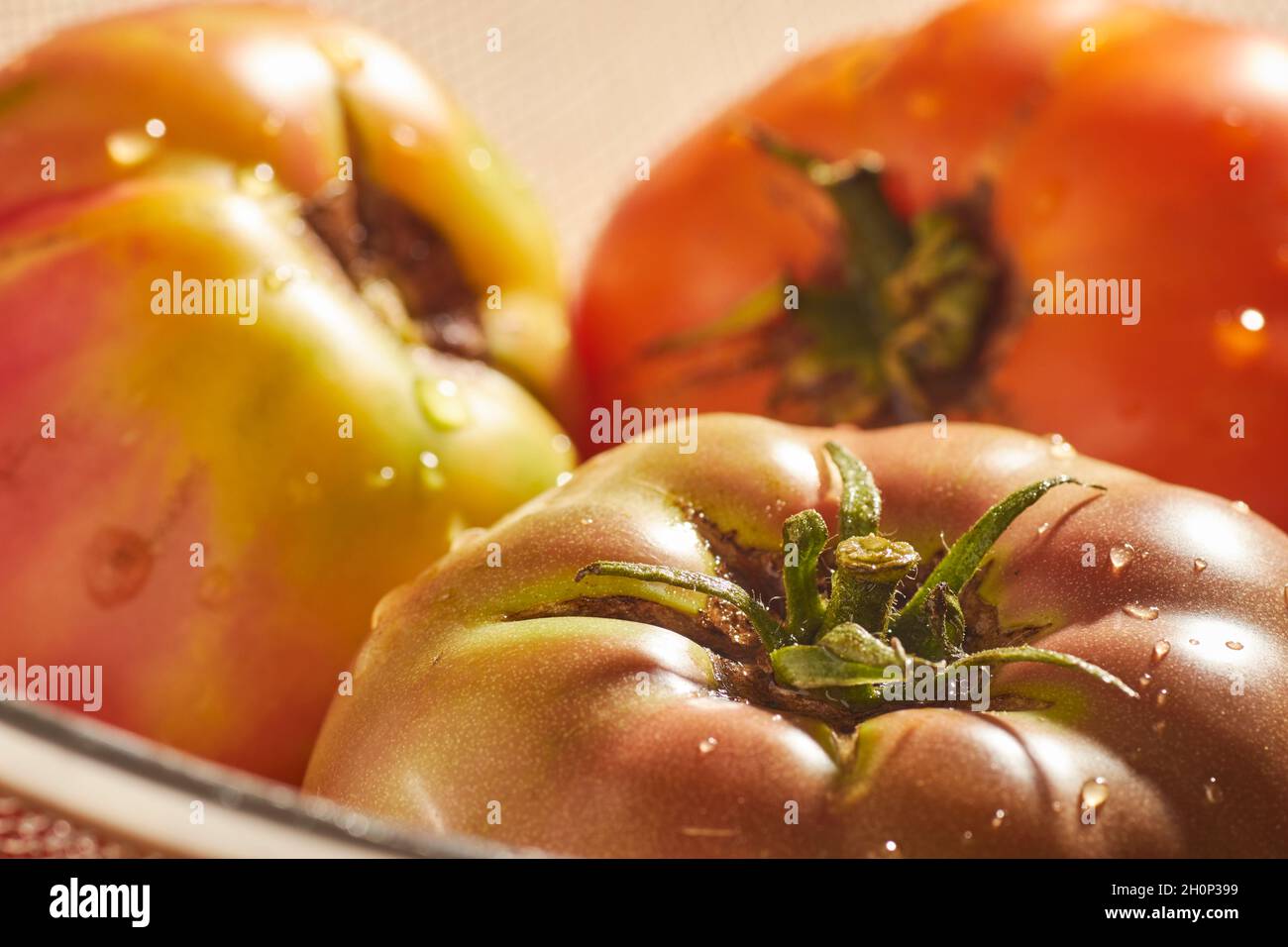 Tomates frescos y maduros en el mercado de un agricultor, en el condado de Lancaster, Pensilvania, EE.UU Foto de stock