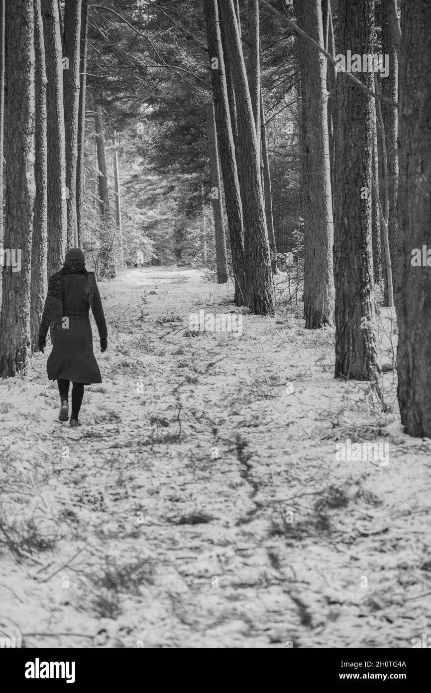 Mujer caminando en el invierno camino del bosque Foto de stock