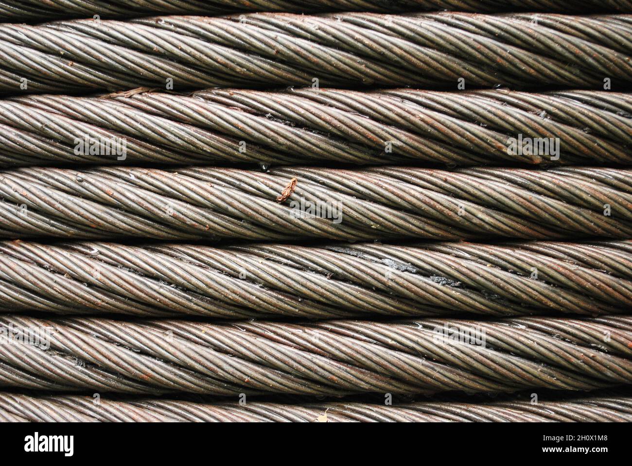 Cerca de la cuerda metálica gruesa. Parte del sistema de poleas para el transbordador Daintree en el río Daintree en Queensland, Australia. Foto de stock