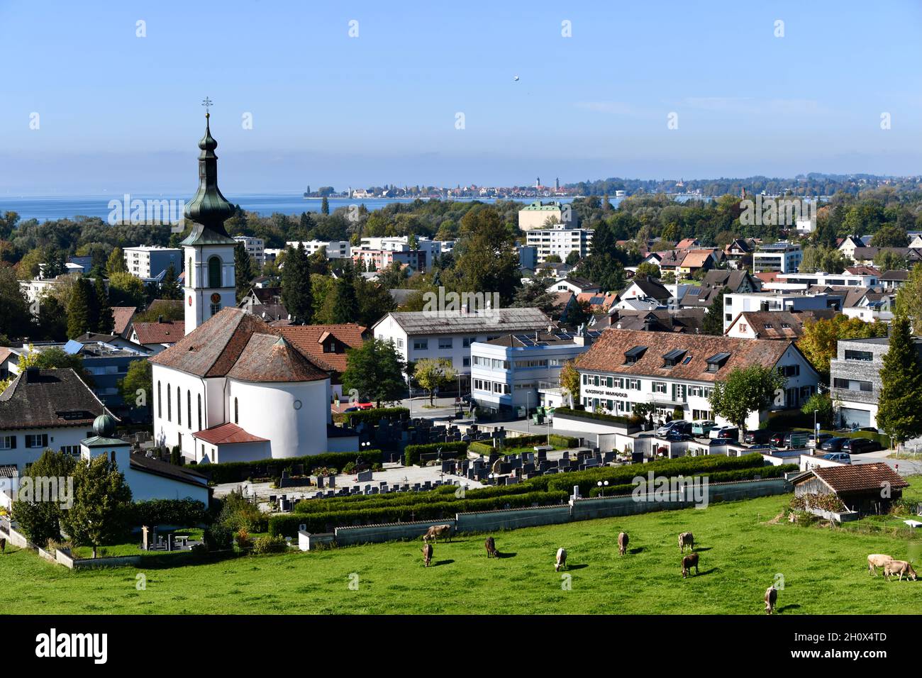 Blick von Oberlochau auf die Lochauer Kirche und den Bodensee Foto de stock