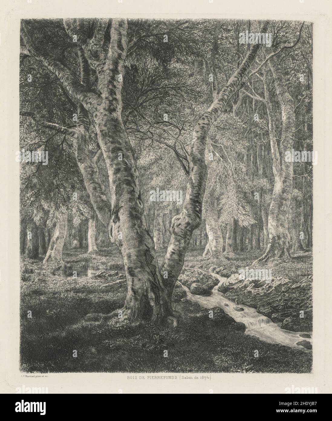 Bois de PIERREFONDS, 1874. Adolphe Théodore Jules Potémont Marcial (Francés, 1828-1883). Aguafuerte; hoja: 42,7 x 31,5 cm (16 13/16 x 12 3/8 pulg.); platemark: 30 x 25,6 cm (11 13/16 x 10 1/16 pulg.). Foto de stock
