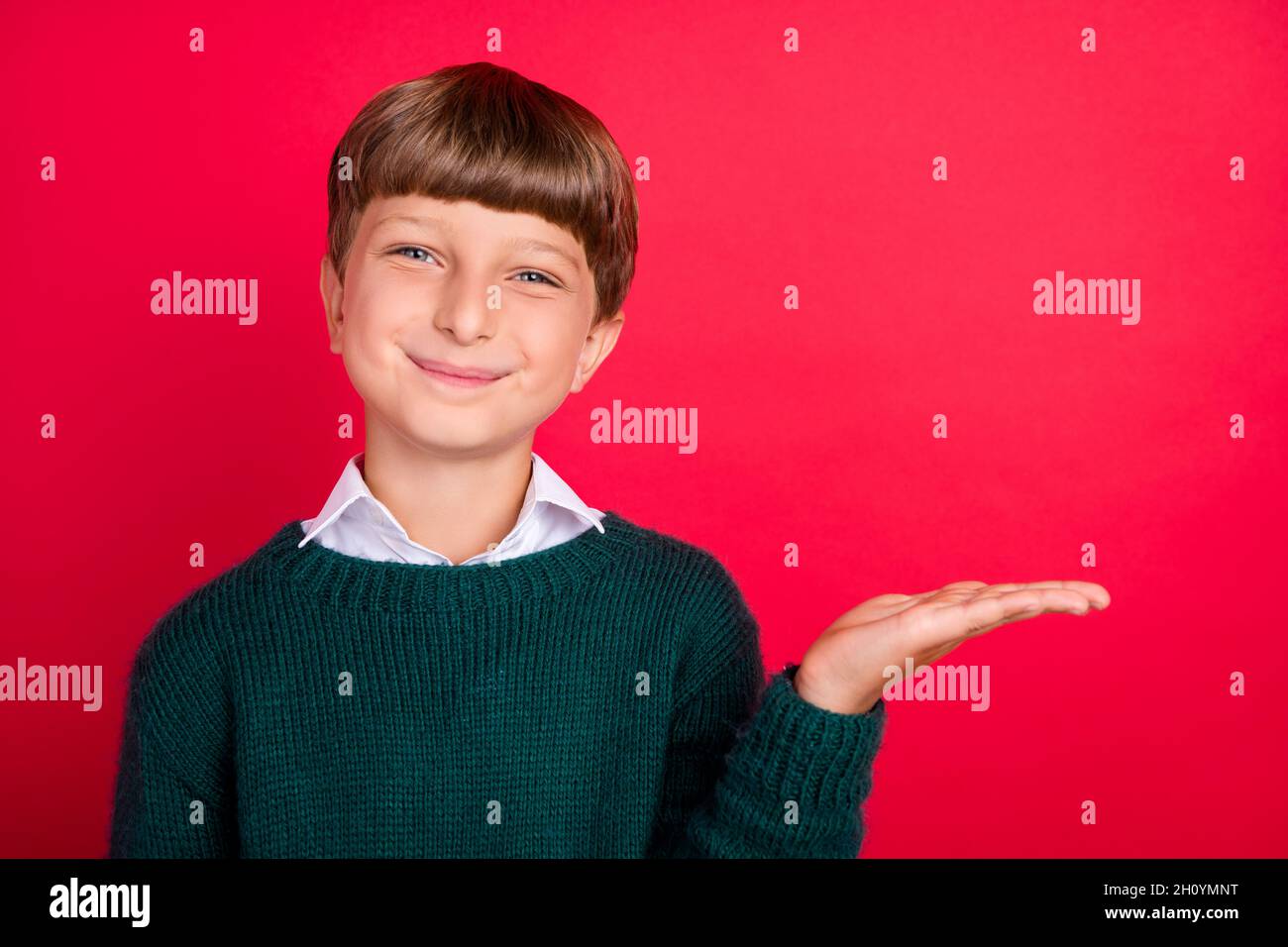 Foto de un divertido y soñador chico escolar vestido verde suéter que  sostiene el brazo vacío espacio sonriendo aislado fondo de color rojo  Fotografía de stock - Alamy