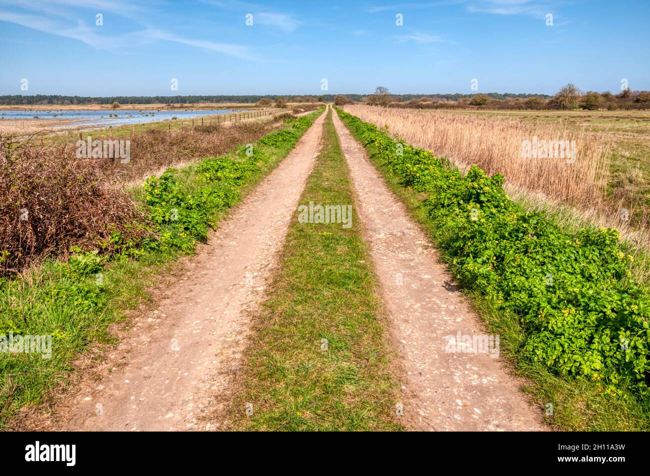 Una pista de granja recta que cruza los pantanos de pastoreo detrás de la costa norte de Norfolk dentro de la zona de excepcional belleza natural. Foto de stock