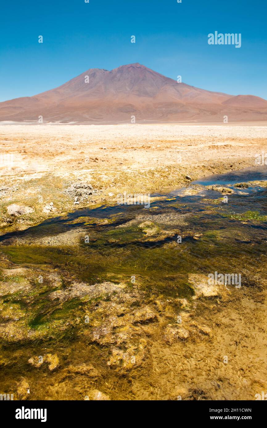 Salar de Ascotan en el desierto de Atacama en el norte de Chile. Foto de stock