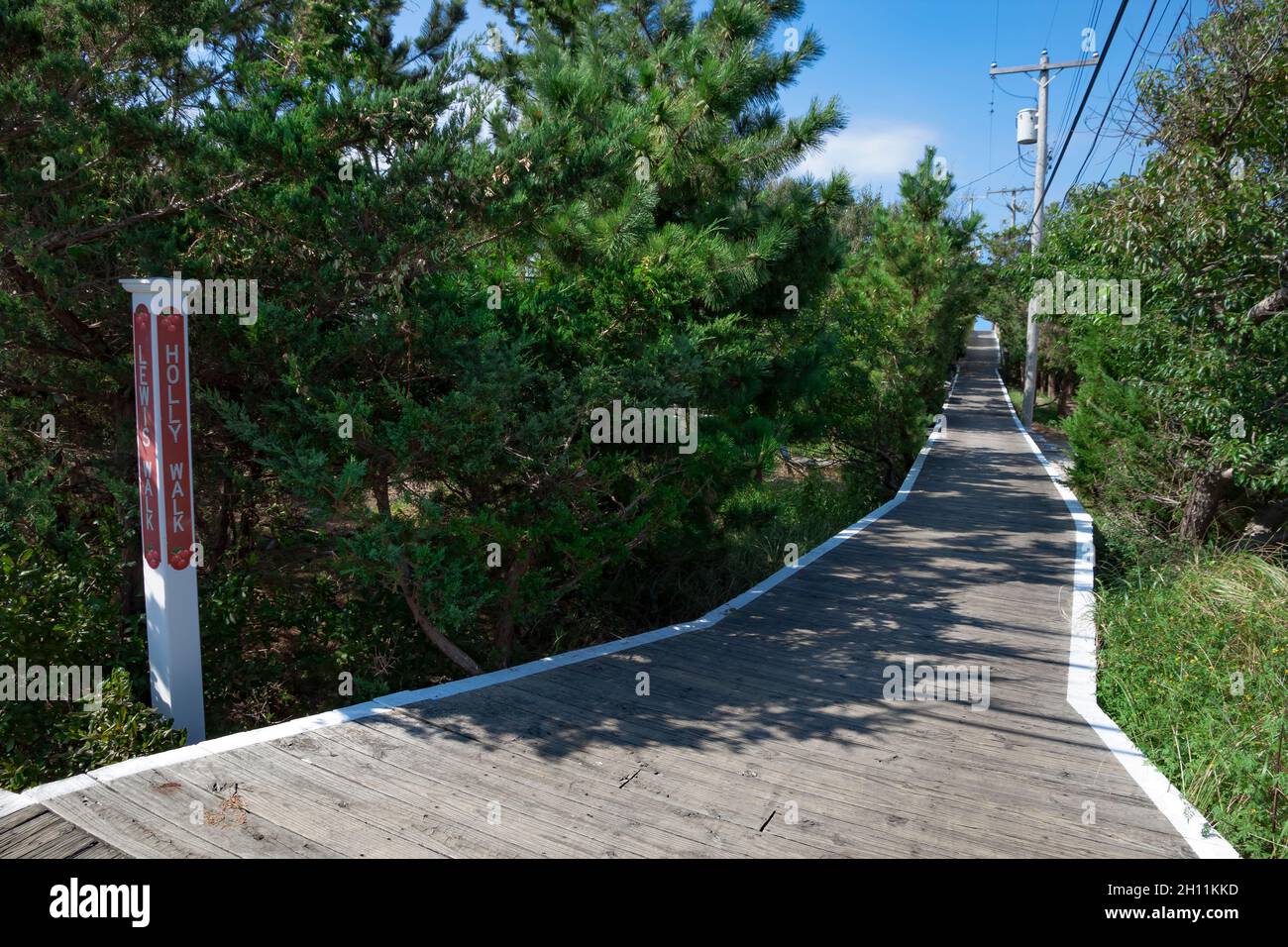 Paseo entarimado Holly Walk en Cherry Grove, Fire Island, Nueva York, Condado de Suffolk, Estados Unidos. Foto de stock