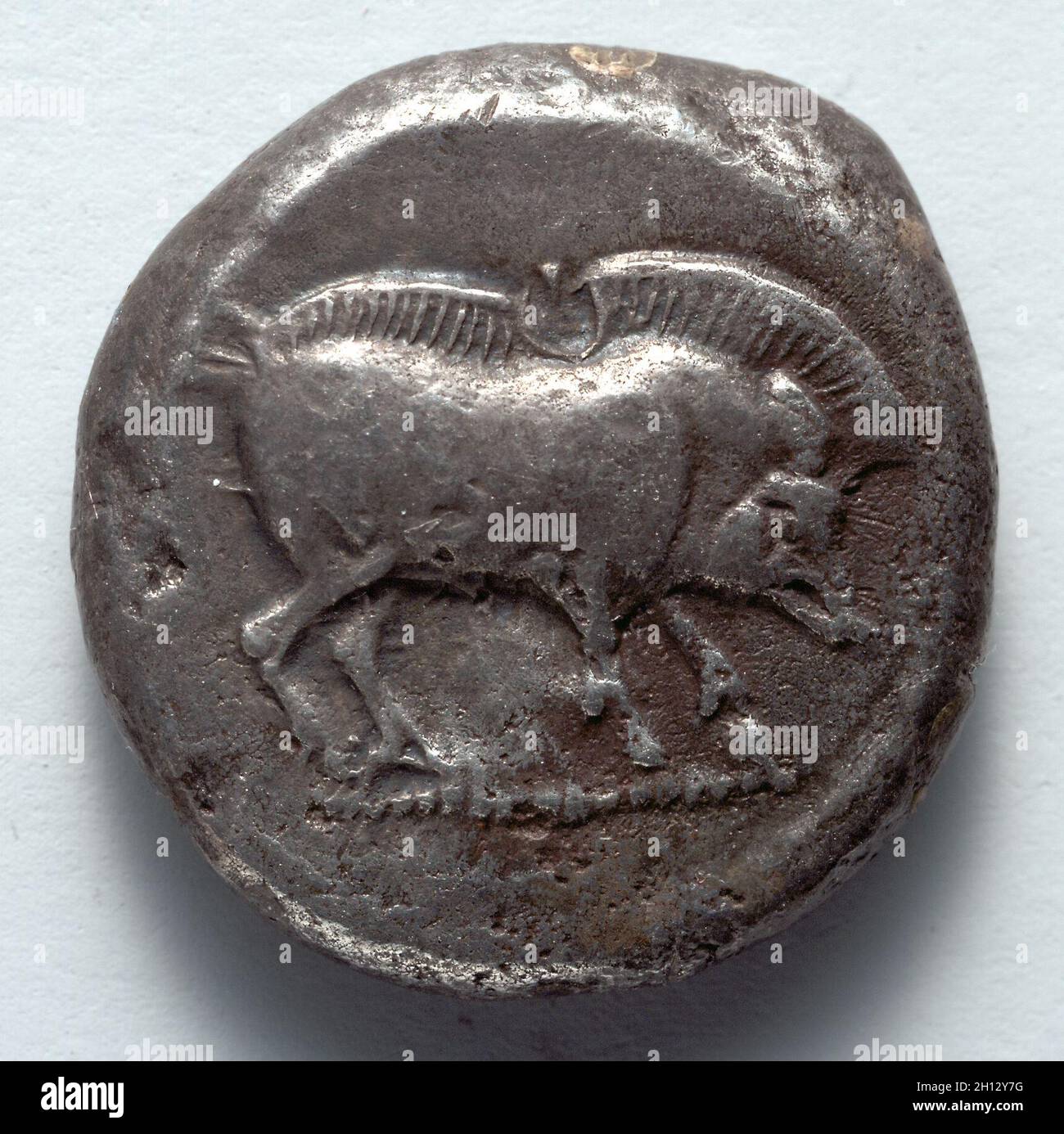 Stater: Jabalí, de pie, r. (Anverso), 500-450 aC. Grecia, Lycia, 5th siglo antes de Cristo. Plata; diámetro: 2 cm (13/16 pulg.). Foto de stock