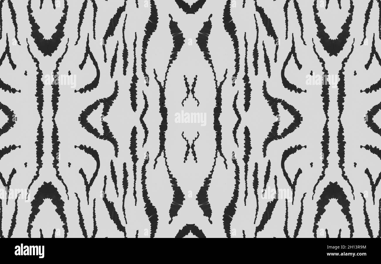 Patrón de cebra sin costuras. Banner africano de moda. Foto de stock