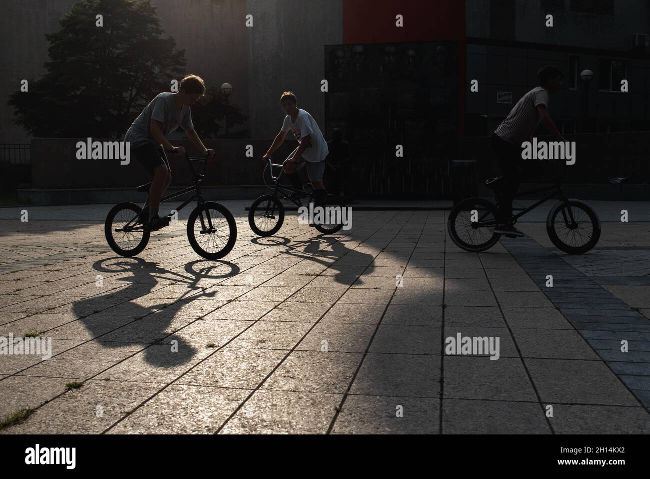 Perfil silueta de chicos en BMX bicicletas al aire libre contra la puesta de sol. Los jóvenes se dedican al deporte activo. Libre estilo BMX. Foto de stock
