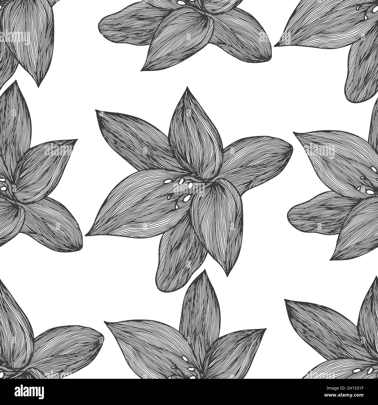 Flor hawaiana Imágenes de stock en blanco y negro - Página 3 - Alamy Flor hawaiana Imágenes de stock en blanco y negro - Página 3 - Alamy