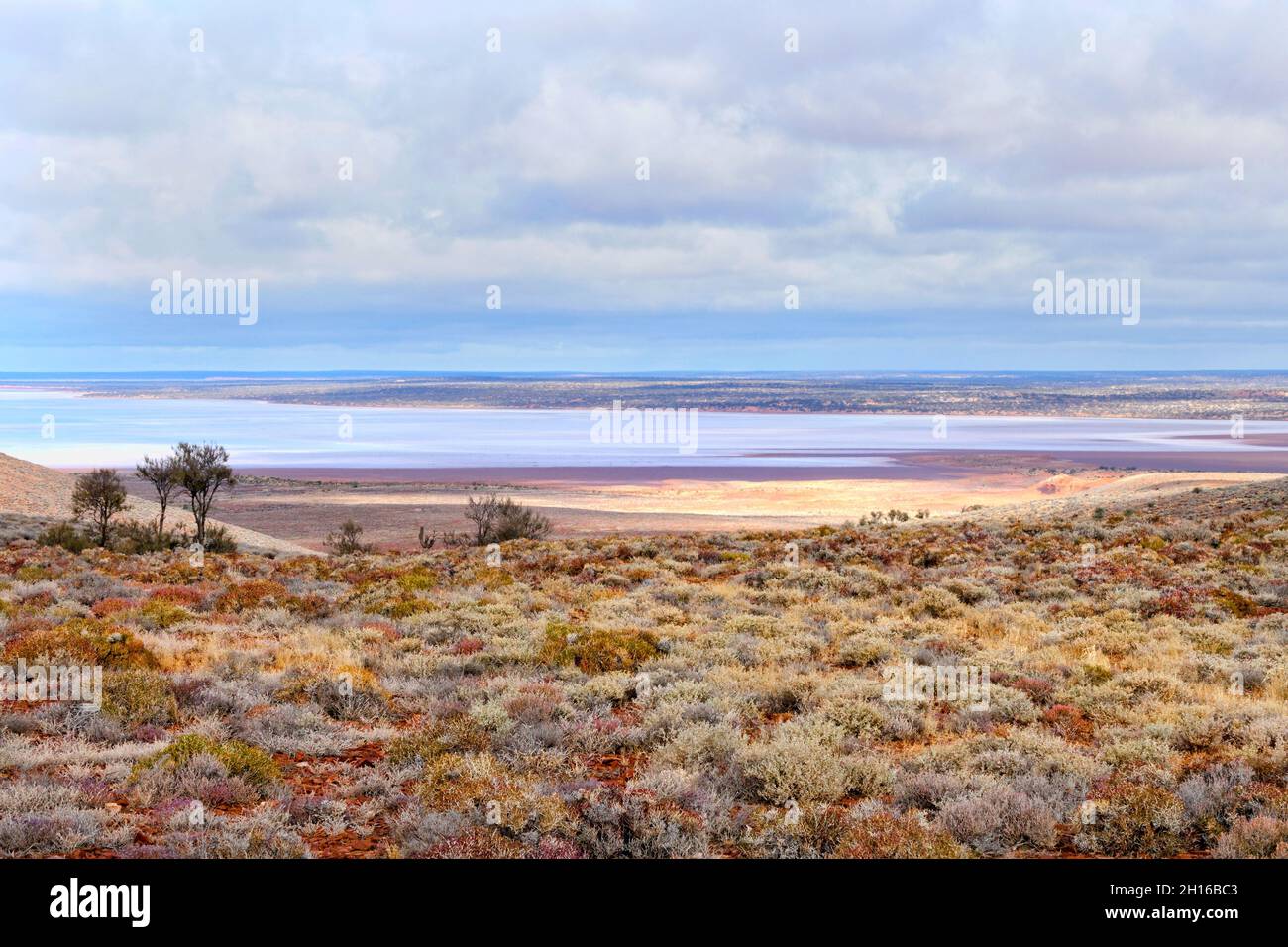 Paisaje del Outback australiano al Lago Gairdner, Australia Meridional Foto de stock