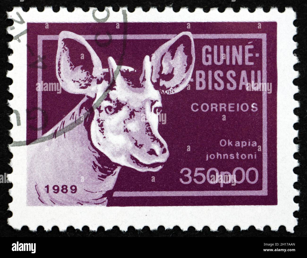GUINEA-BISSAU - CIRCA 1989: Un sello impreso en Guinea-Bissau muestra okapi, okapia johnstoni, conocida como la jirafa del bosque o jirafa de cebra, circa 1989 Foto de stock