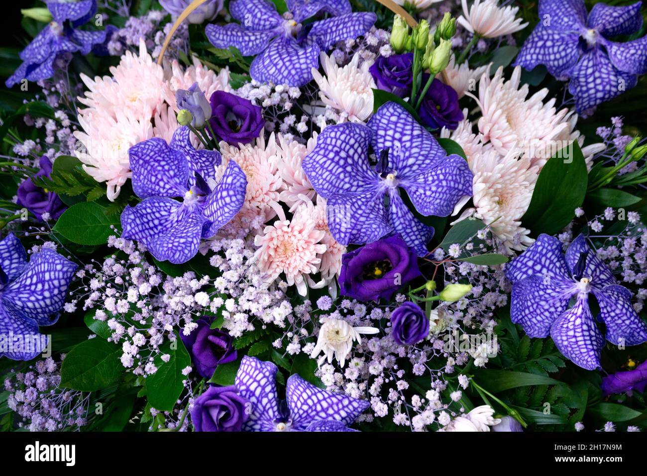Ramo de regalo de orquídeas moradas en una cesta. Orquídeas, crisantemos,  manzanilla, composiciones florísticas florales Fotografía de stock - Alamy