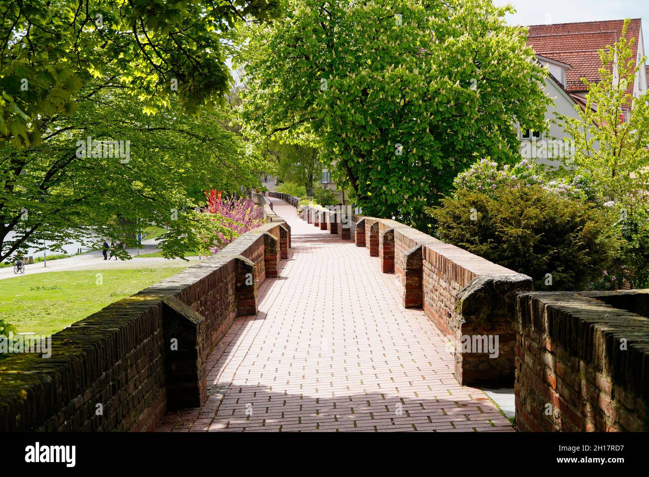 Muralla de la ciudad de Ulm rodeada de frondosos árboles verdes en un día de primavera (Alemania) Foto de stock
