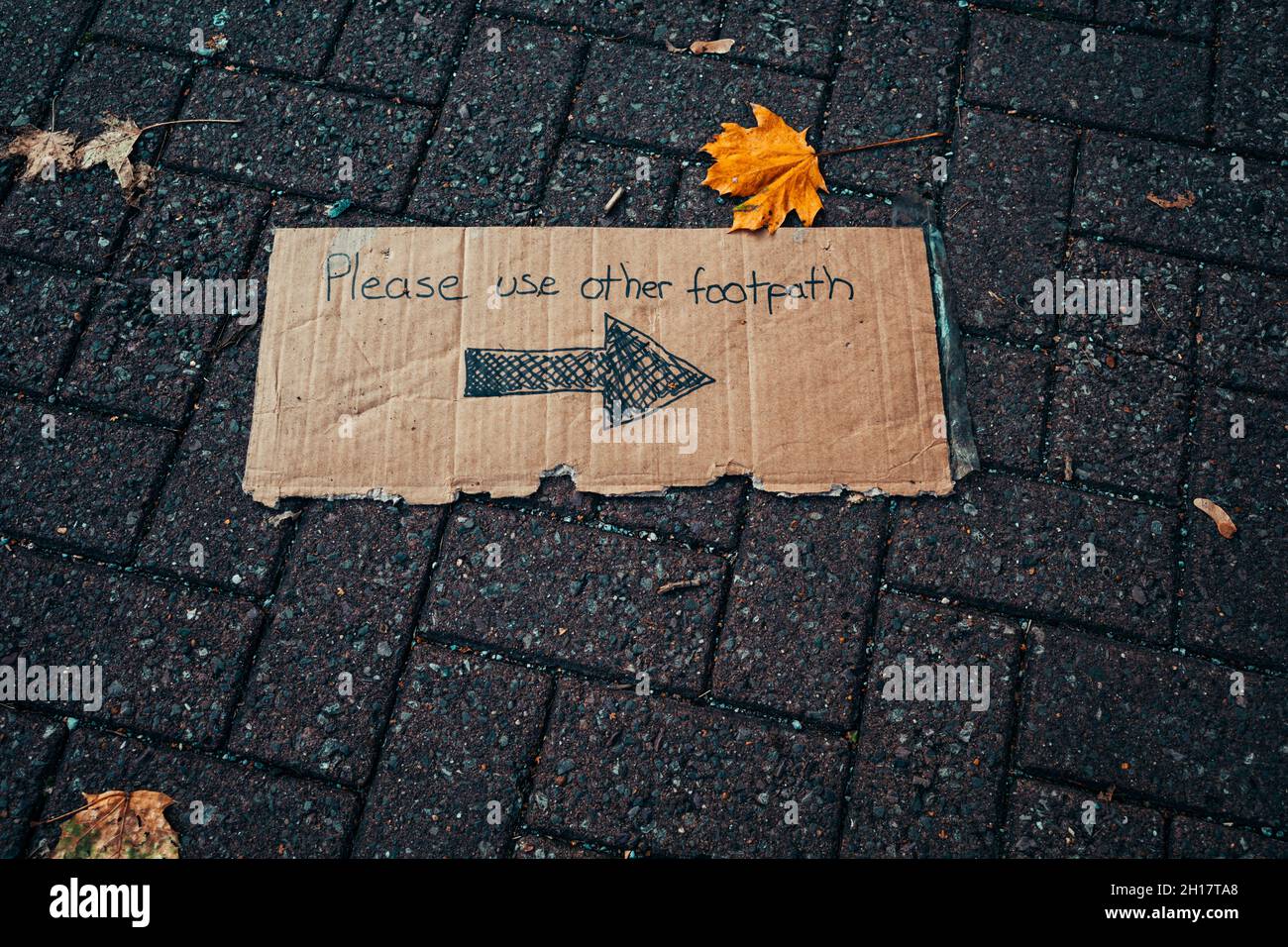 Cartel de cartón con, por favor, utilice otro cartel de sendero escrito