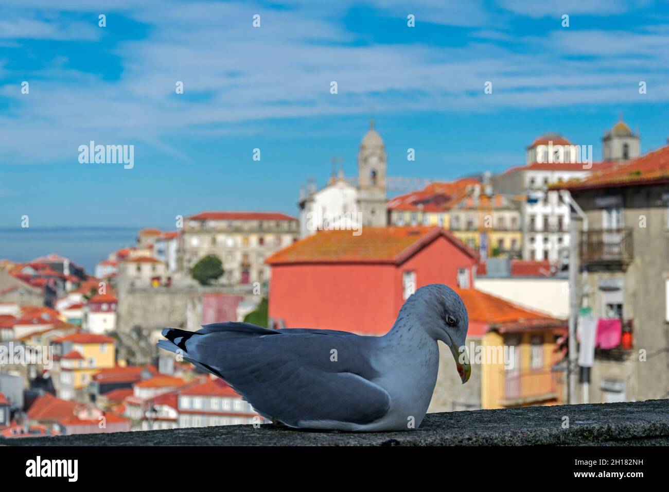 Porto, centro de la ciudad de Portugal Foto de stock