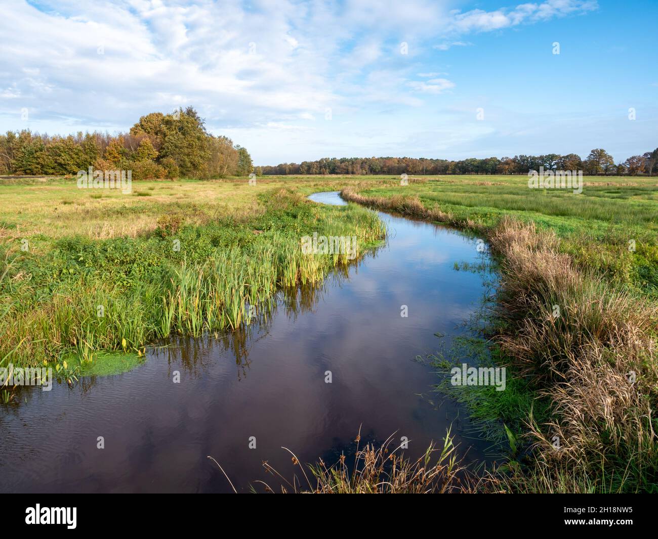 El río serpenteante Reest es la frontera entre Drenthe y Overijssel en la reserva natural de Reestdal cerca de Oud-Avereest, Países Bajos Foto de stock