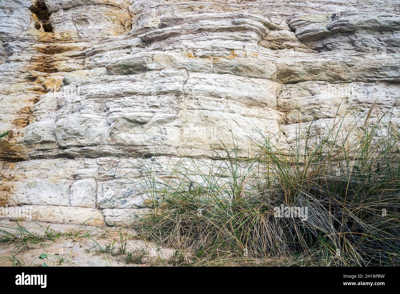 Capas de piedra arenisca formadas durante el período Eoceno que conforman el acantilado este en Bournemouth en Dorset Reino Unido Foto de stock