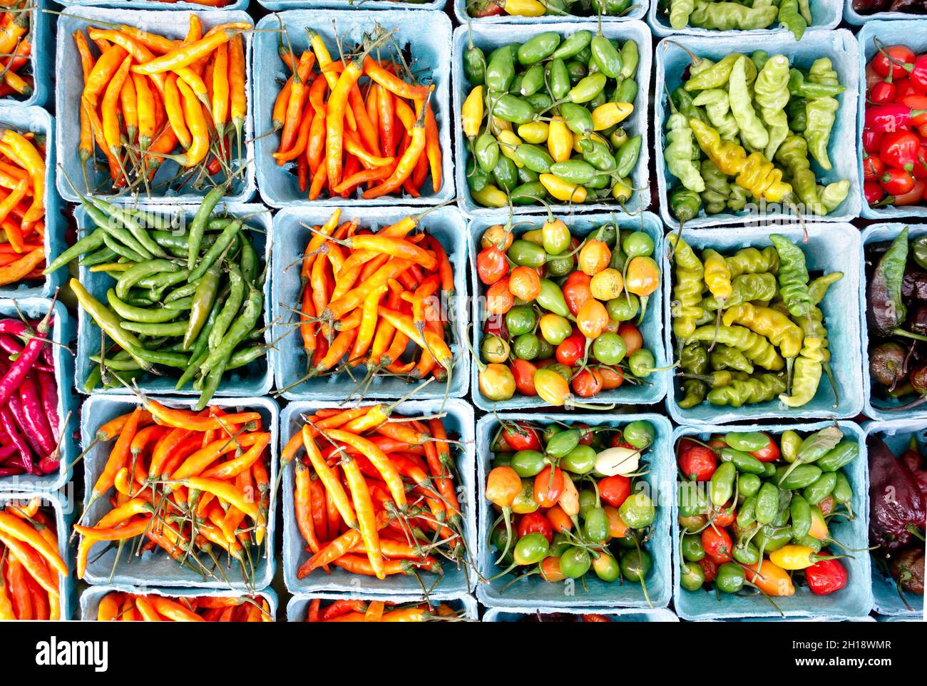 Vista superior de cajas con chiles multicolor variados - Concepto mundial de alimentos con variación de paprika de color pequeño - Filtro vivo Foto de stock