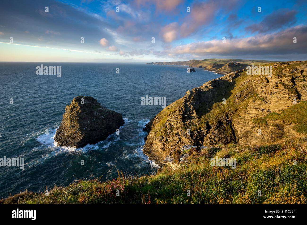 Trevalga Cliff; Short Island; Cornwall; Reino Unido Foto de stock