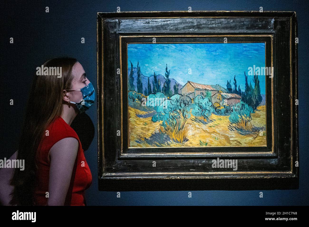 Cabanes de bois parmi les oliviers et cypres fotografías e imágenes de alta resolución Alamy