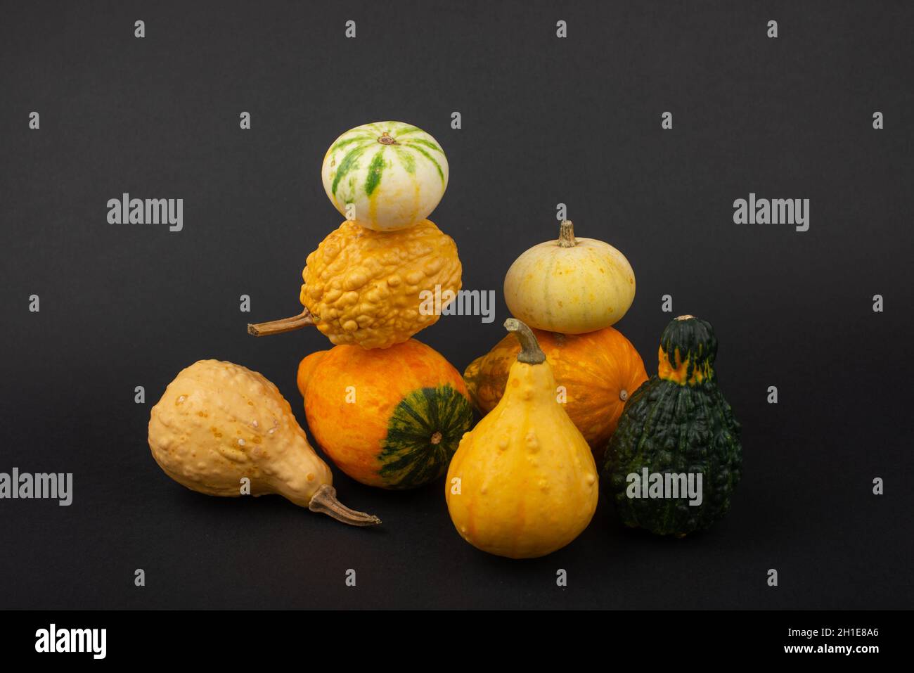 Selección de pequeñas calabazas decorativas sobre fondo negro. Espacio de copia aislado. Foto de stock