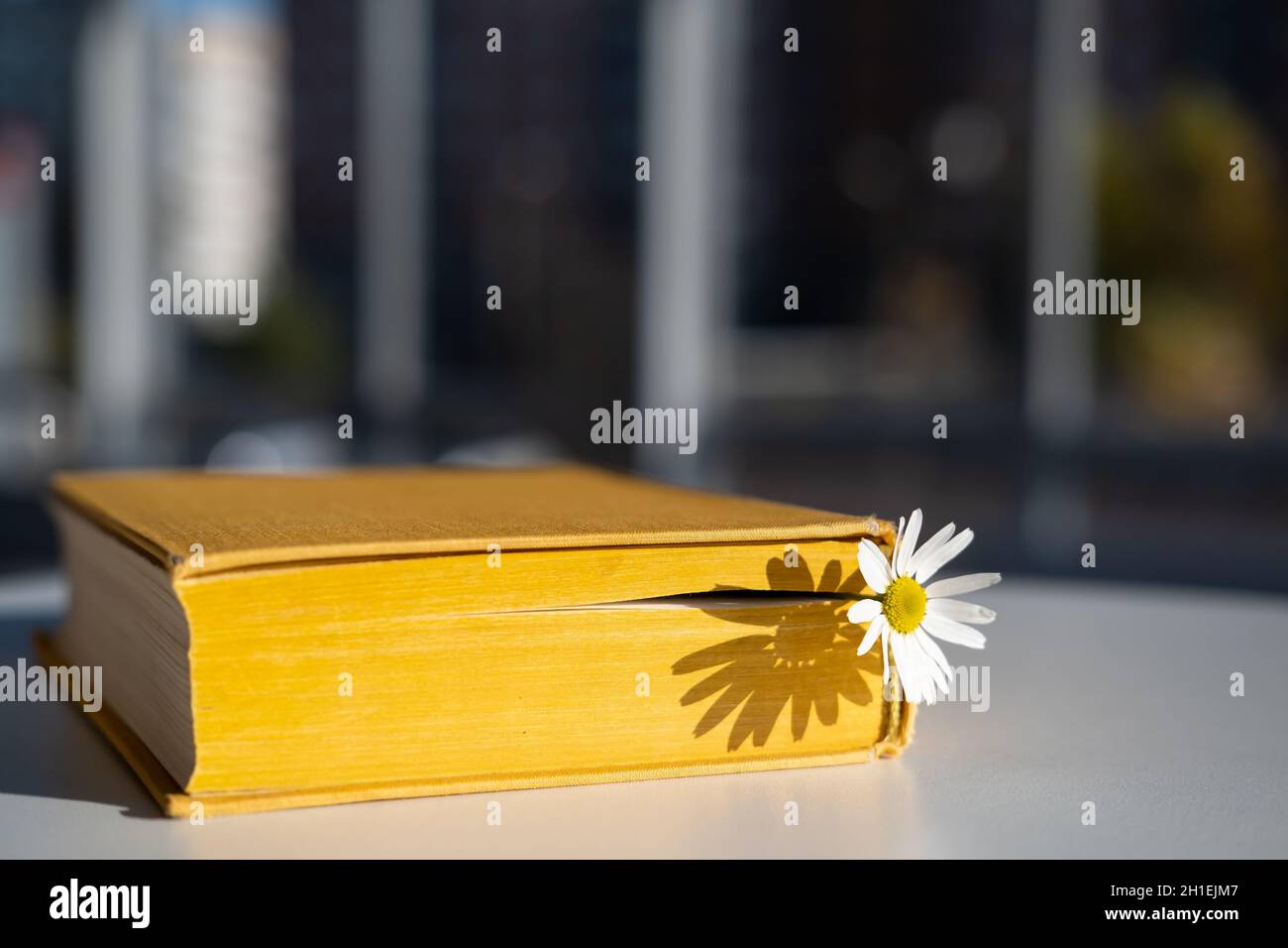 Primer plano de un libro de tapa dura sobre una mesa con marcadores de  varios colores Fotografía de stock - Alamy