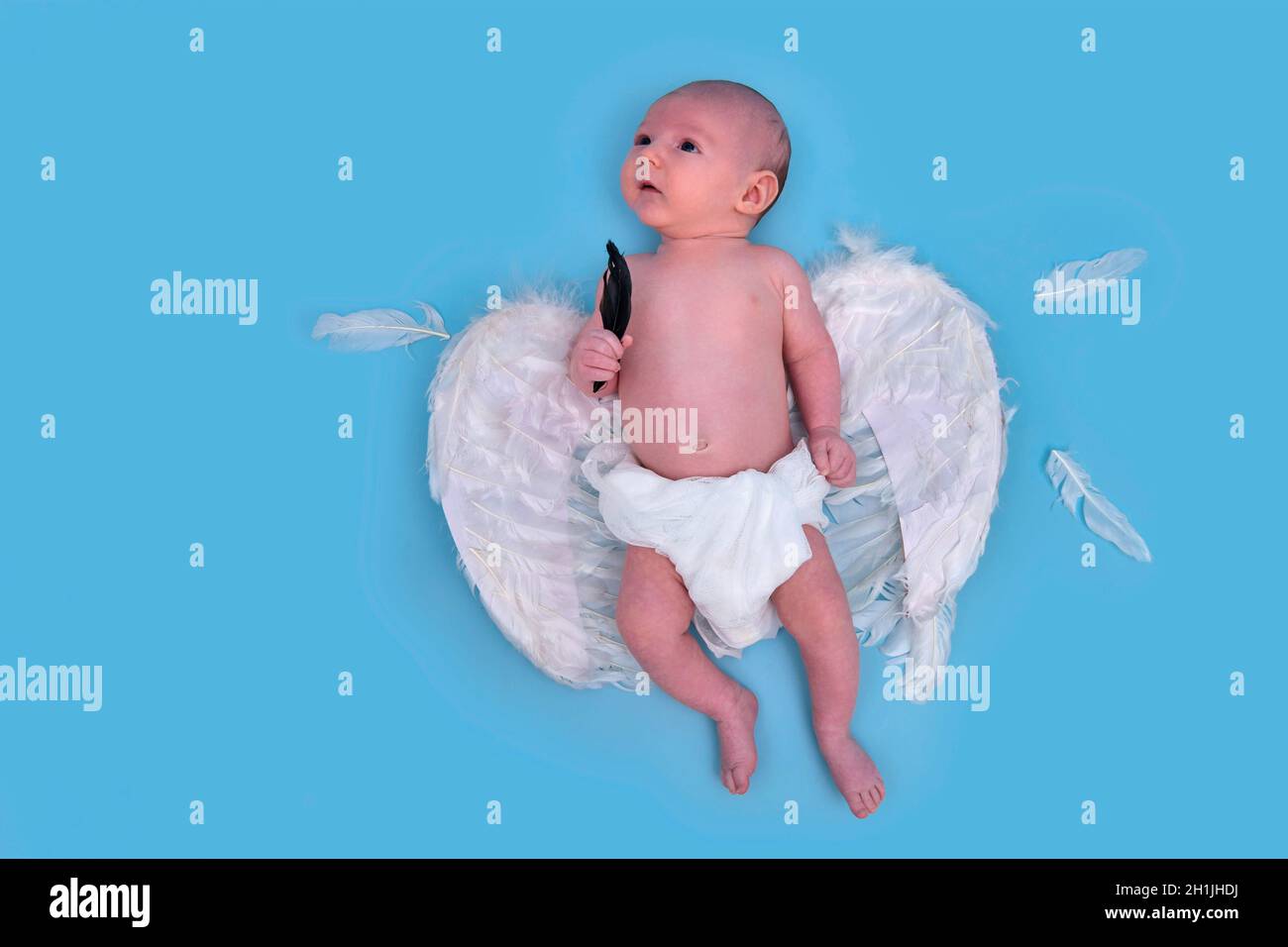 Alas Blancas Para Sesión De Fotos Bebé Recién Nacido 