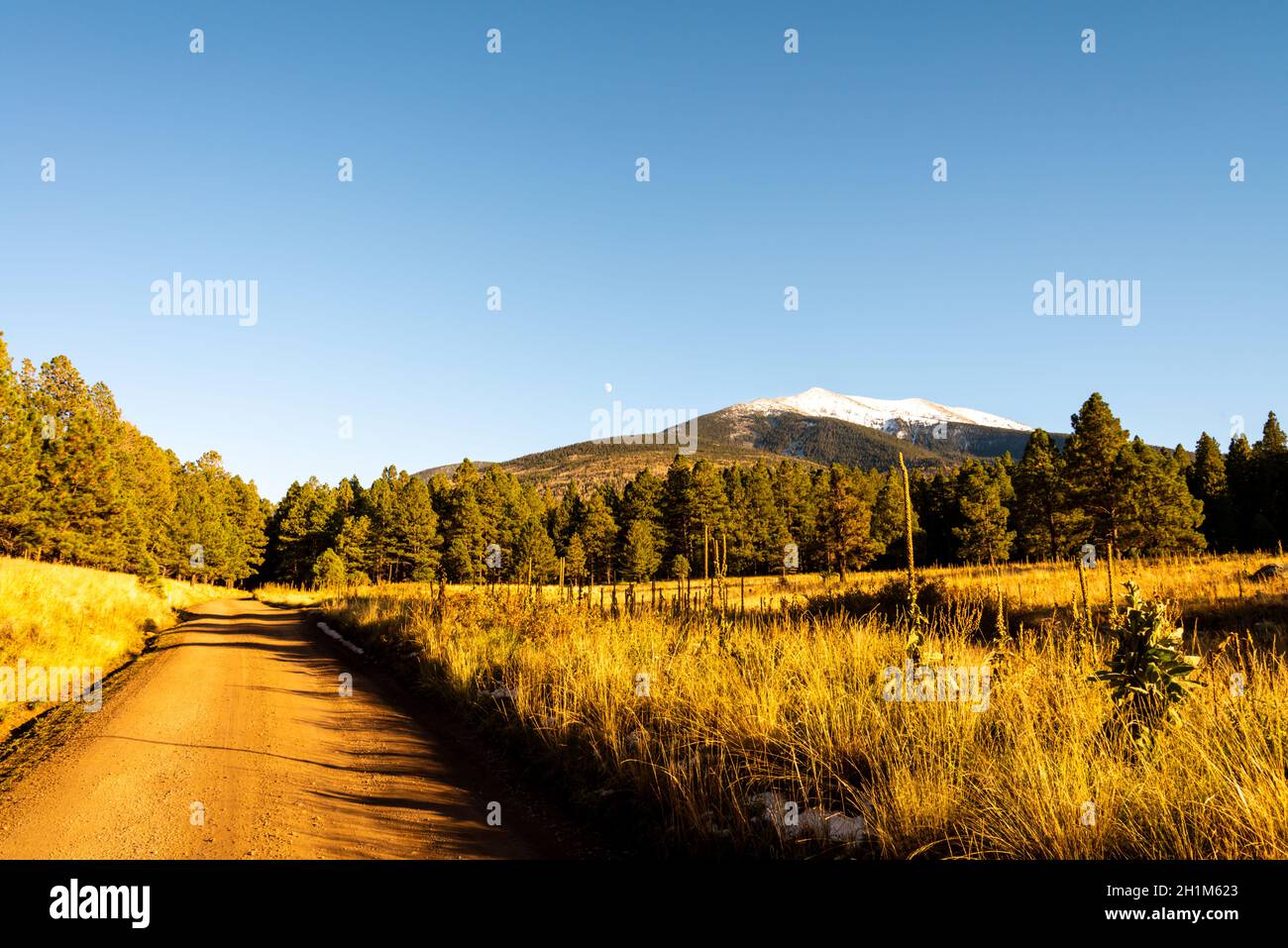 Trillado fotografías e imágenes de alta resolución - Alamy